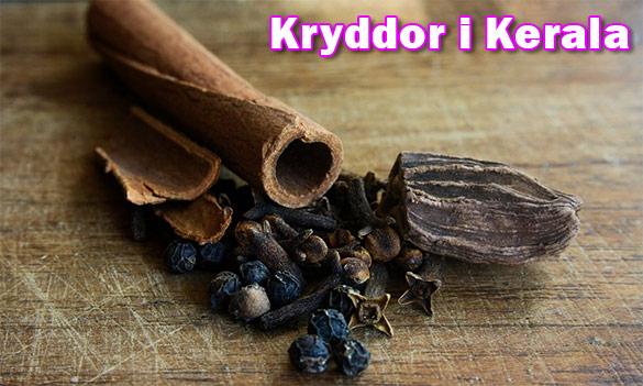 Kryddor i Kerala