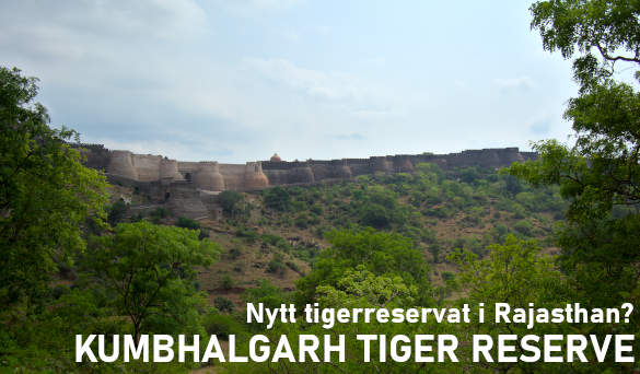 Kumbhalgarh, Rajasthan, Indien får nytt tigerreservat?
